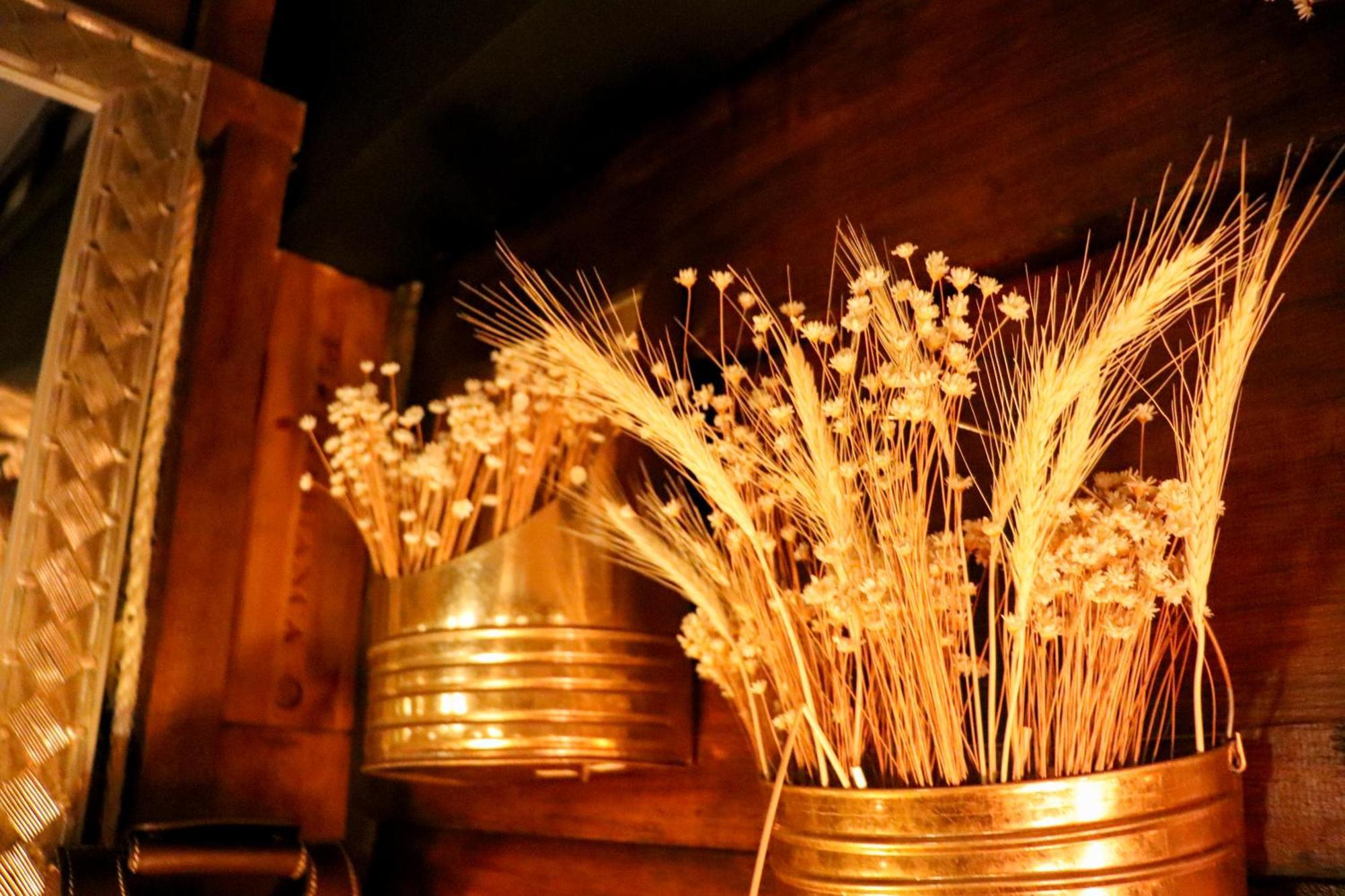 Pousada Campos Do Jordao Suites ภายนอก รูปภาพ